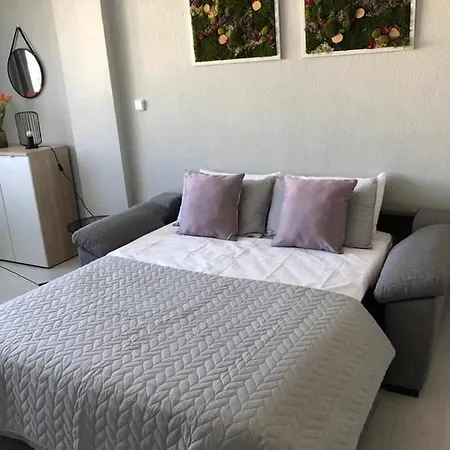 Con Piscina Y Aire Acondicionado *